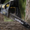 Gallery thumbnail 4 of 5