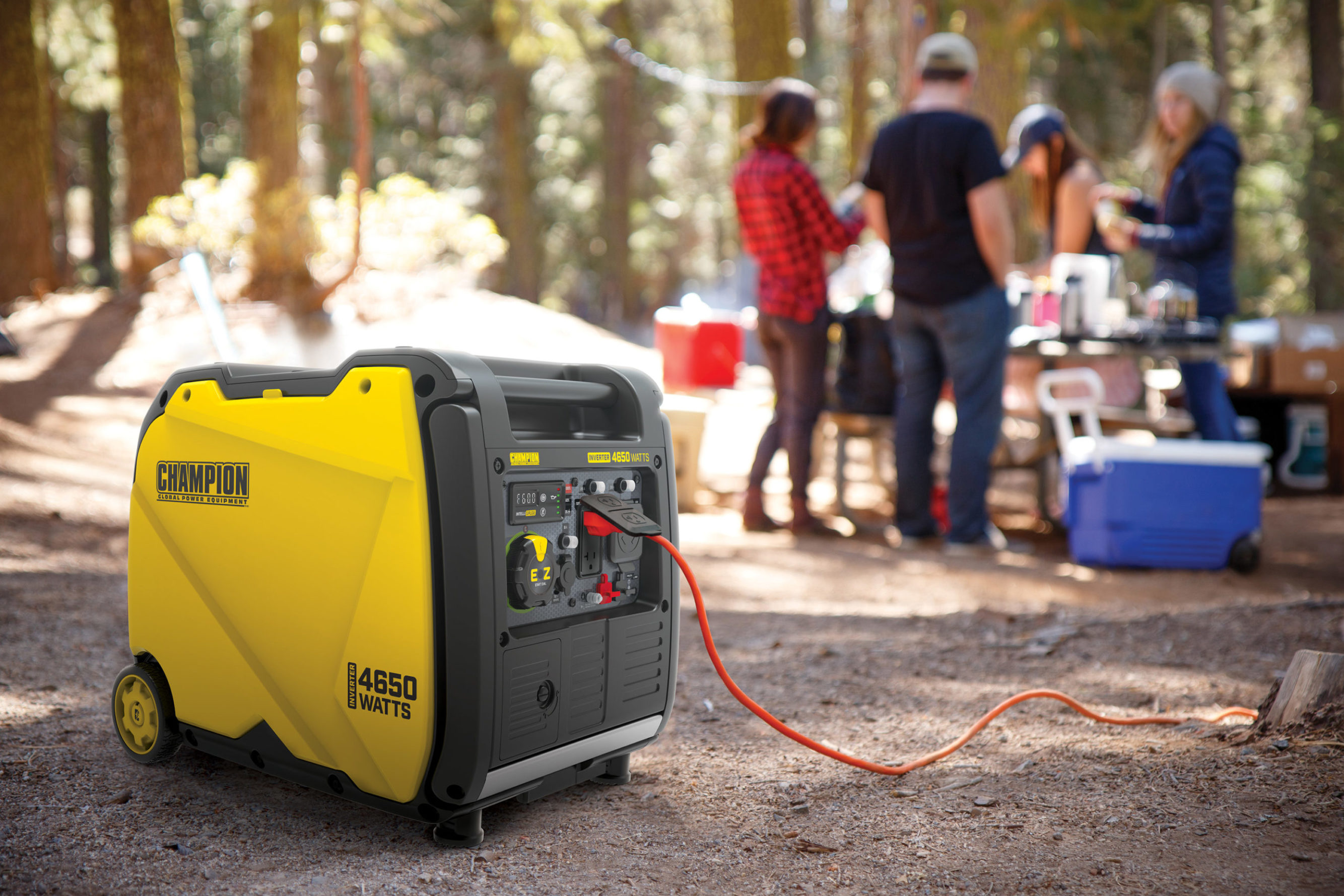 4650Watt Inverter Champion Power Equipment