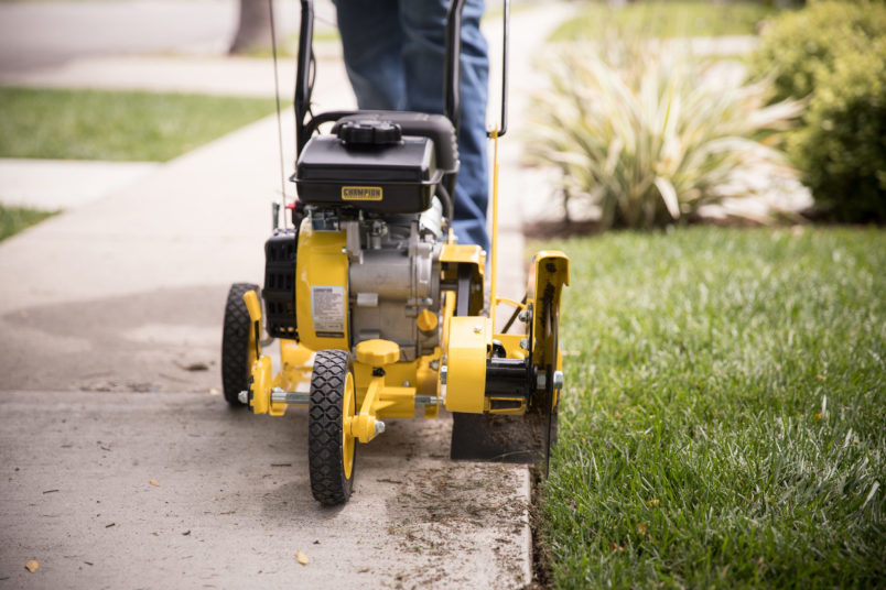 Heavy-Duty Edger Replacement Blade