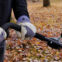 Gallery thumbnail 5 of 7